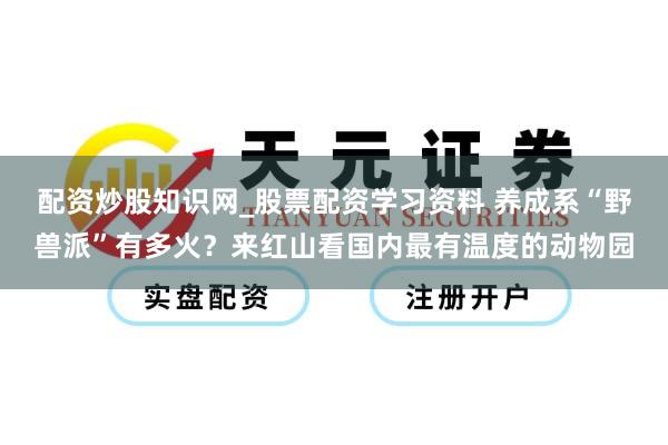 配资炒股知识网_股票配资学习资料 养成系“野兽派”有多火？来红山看国内最有温度的动物园